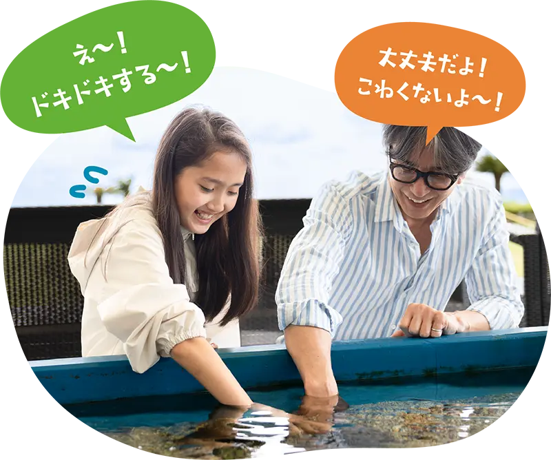 タッチプールで海の生き物を触れ合う親子