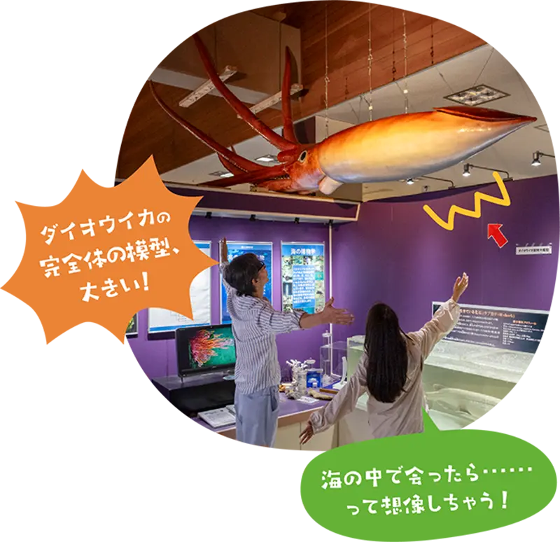 天井に吊るされたダイオウイカの模型