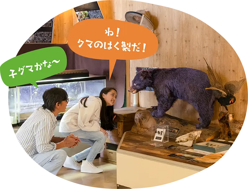 小熊の剥製