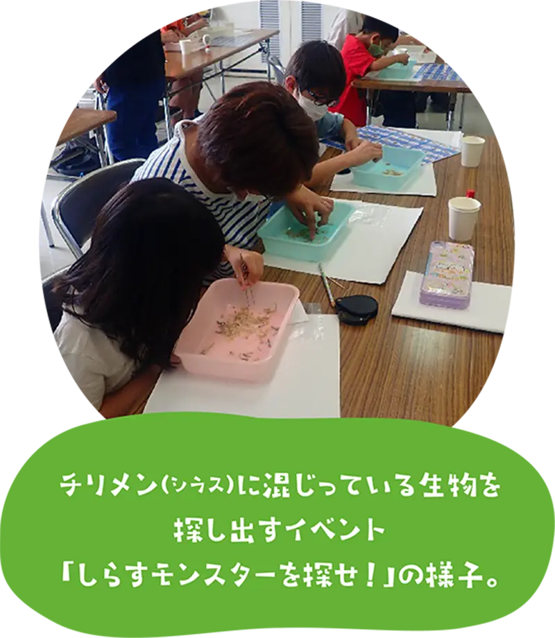 チリメンに混じっている生き物を探し出すイベント「しらすモンスターを探せ！」の様子。机の上に水としらすの入ったボウルが1人1個置かれている。