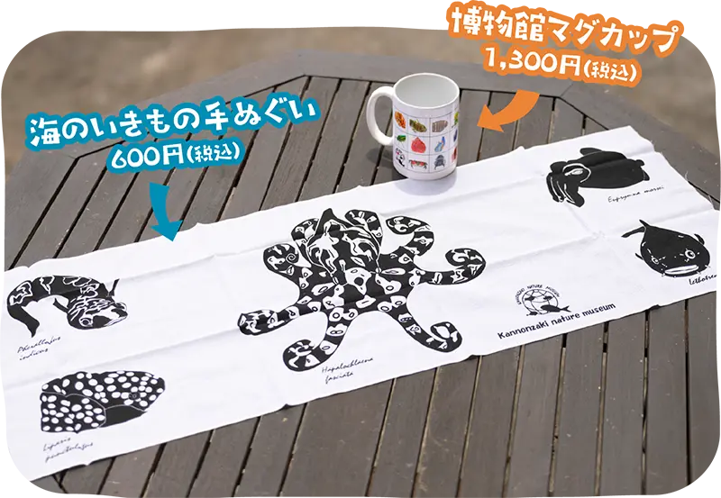 モノトーンでタコやナマコが描かれた「海のいきもの手ぬぐい（600円）」。生き物が描かれた「博物館マグカップ（1,300円）」