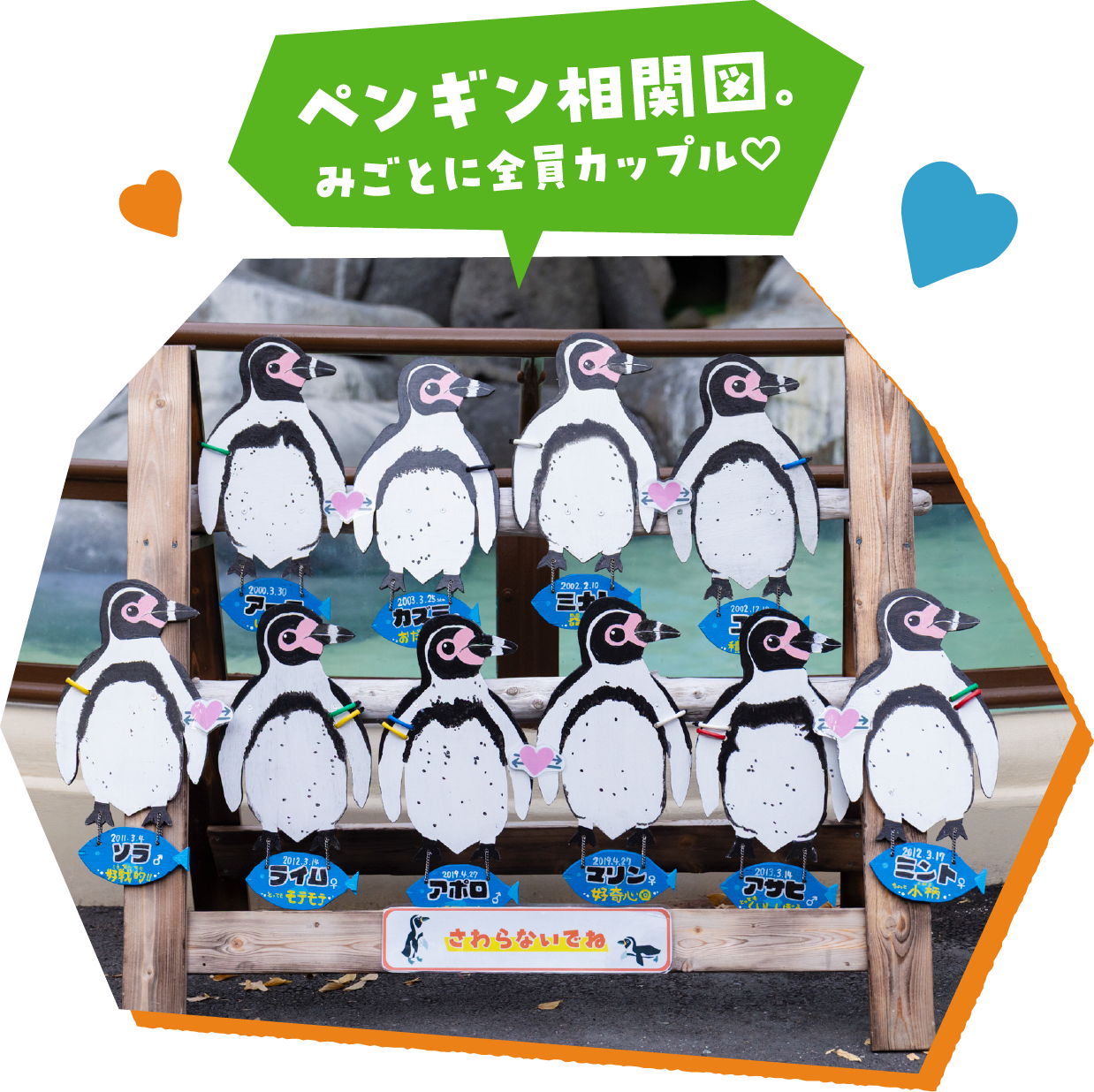 ペンギン相関図。みごとに全員カップル♡