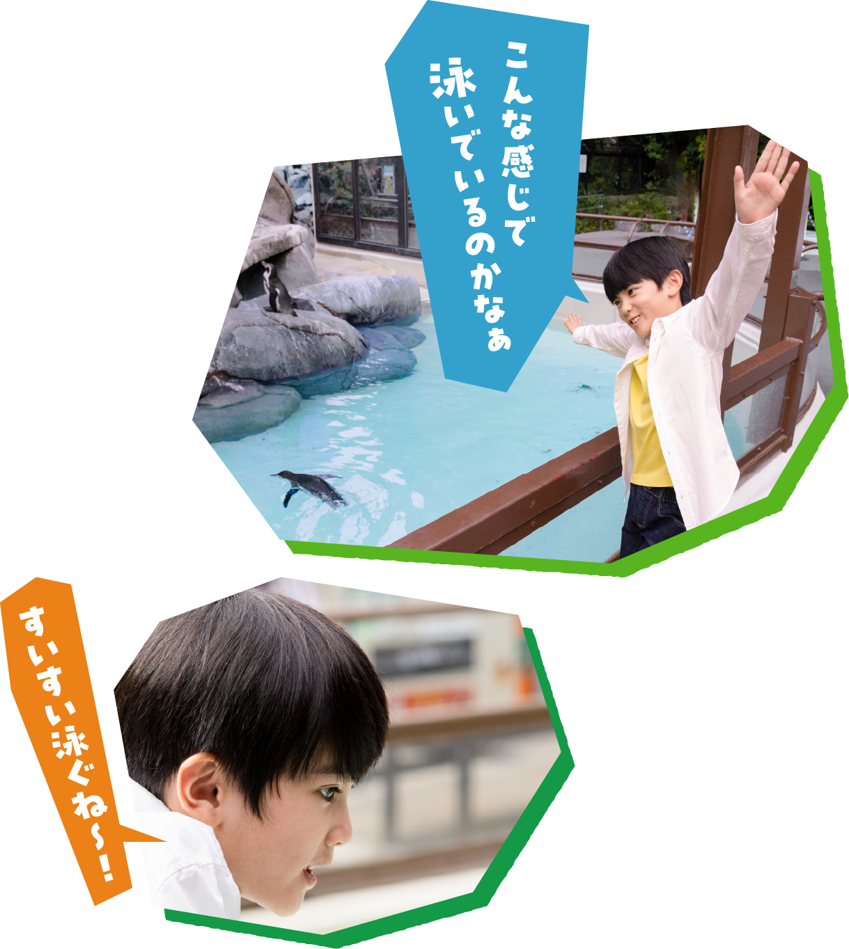 「こんな感じで泳いでいるのかなぁ」「すいすい泳ぐね～！」とペンギンを観察する男の子
