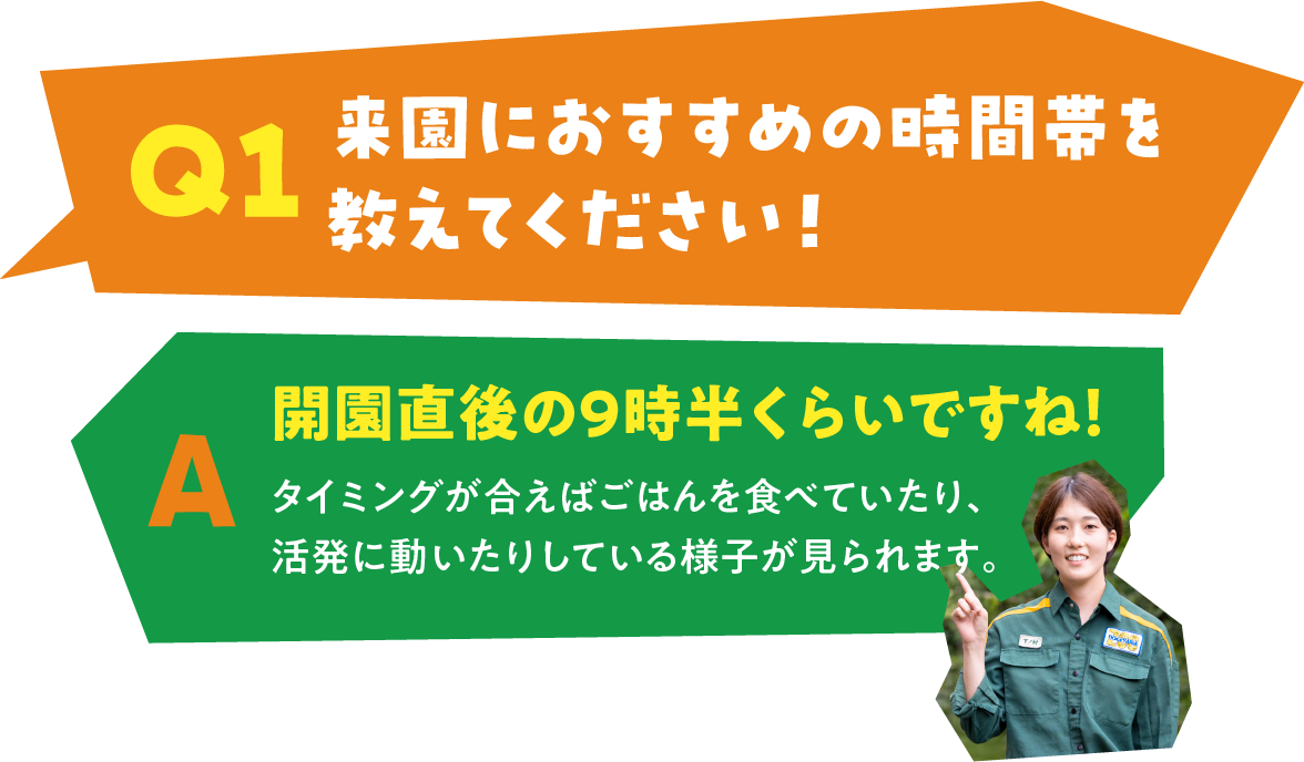 Q1 来園におすすめの時間帯を教えてください！ A 開園直後の9時半くらいですね！多くの動物たちがご飯を食べる時間帯で、活発に動いている様子が見られます。
