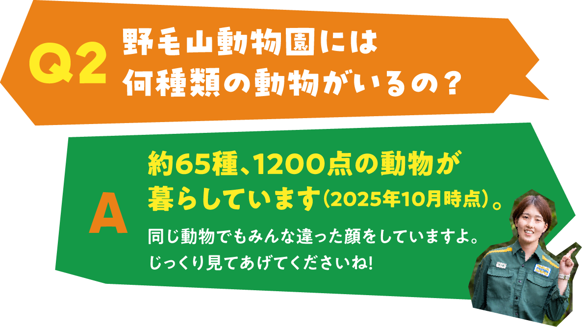 Q2 野毛山動物園には何種類の動物がいるの？ A 約65種、1200点の動物が暮らしています（2025年10月時点）。同じ動物でもみんな違った顔をしていますよ。じっくり見てあげてくださいね！