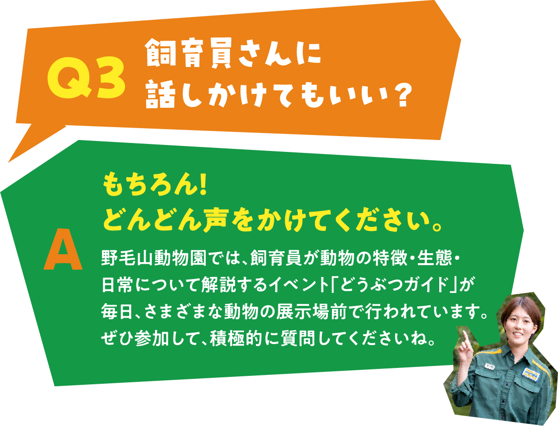 Q3 飼育員さんに話しかけてもいい？ A もちろん！どんどん声をかけてください。野毛山動物園では、飼育員が動物の特徴・生態・日常について解説するイベント「どうぶつガイド」が
						毎日、さまざまな動物の展示場前で行われています。ぜひ参加して、積極的に質問してくださいね。