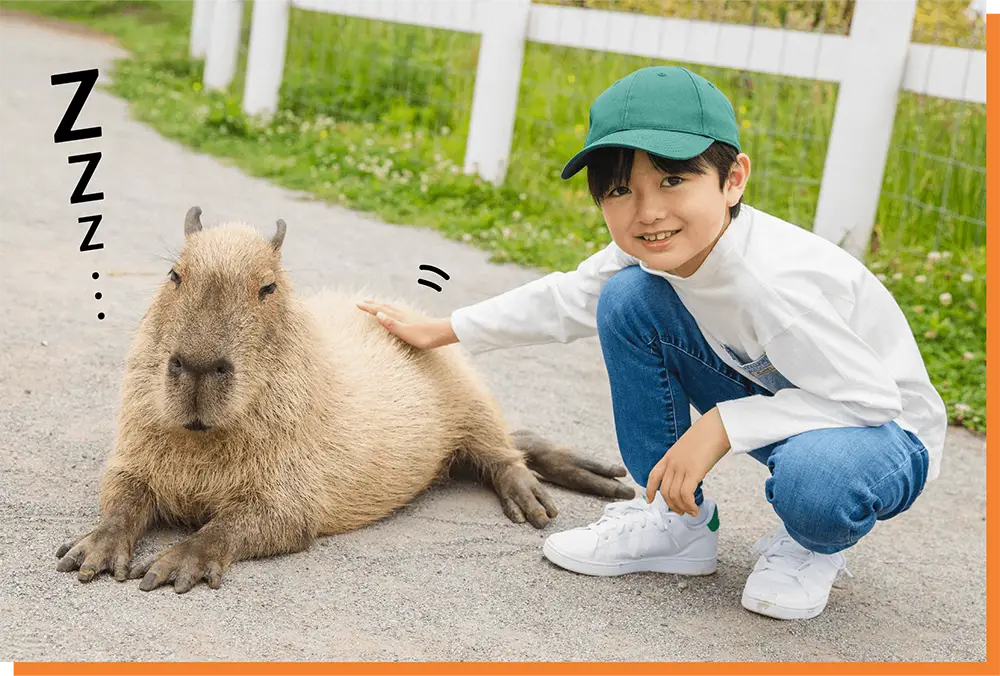 道端で眠るカピバラを撫でる男の子